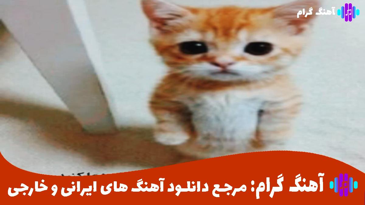 کاور آهنگ یه جور رفت بریدم خدایی نبود حقه این دل از فرهاد جهانگیری